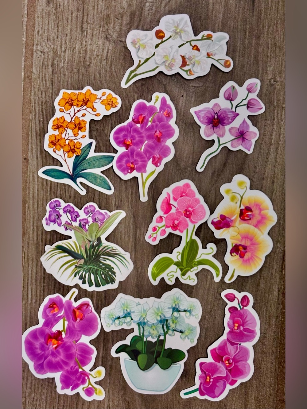 9 Pc Large Orchid Sticker Set — Pink, Purple, Yellow, White - So Beautiful